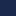 Newport Bear/Navy