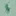 Faded Mint